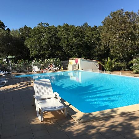 Camping Pezza Cardo Porto-Vecchio  Exteriör bild